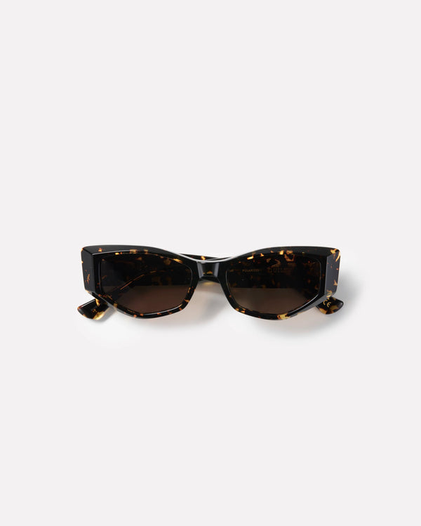 EPOKHE - GUILTY - Crystal Dark Tortoise Polished / Brown Polarized