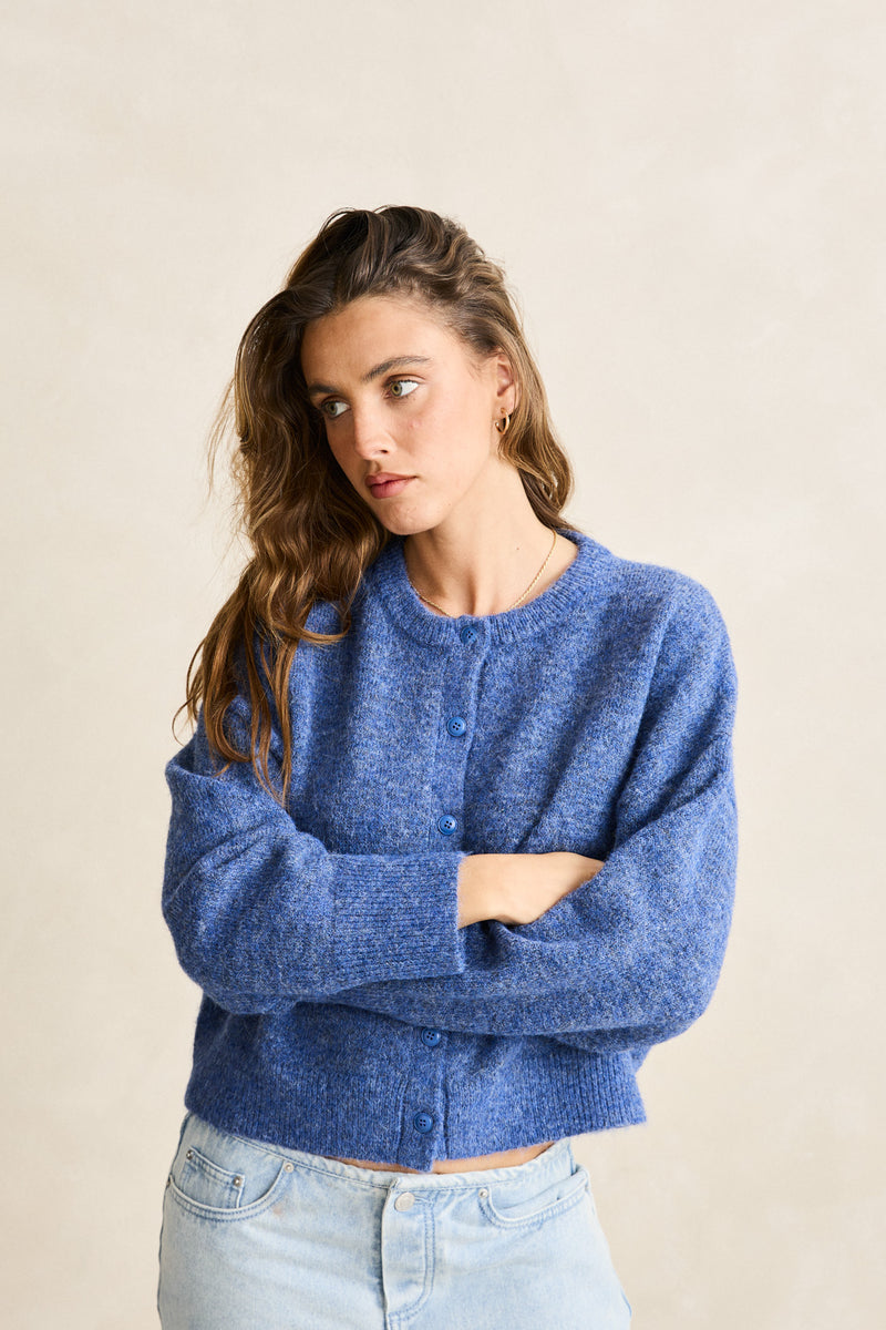 Estelle Fluffy Knit Cardigan  Blue