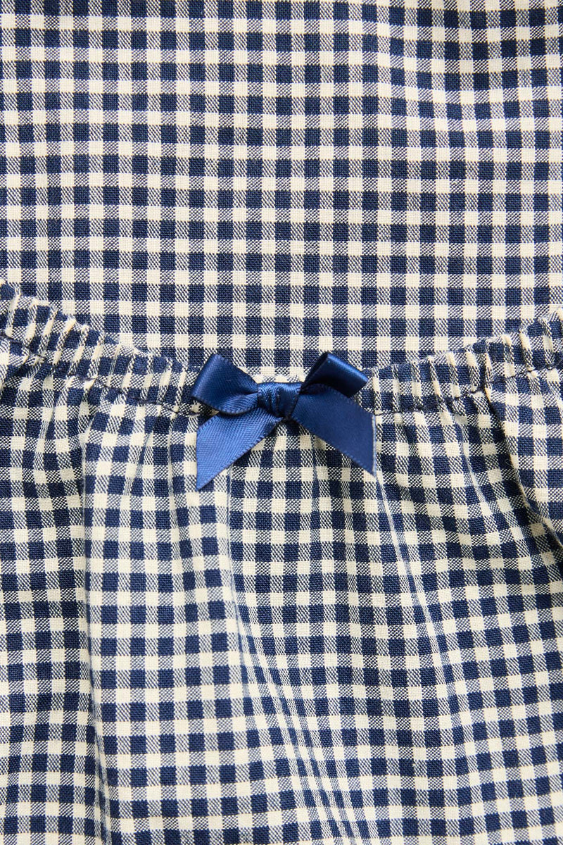 Coast Mini Dress Navy Check