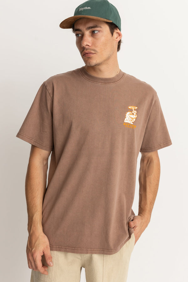 Sun Kissed Vintage Ss T Shirt Brown